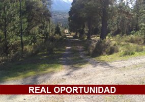 Barrio Altos de Epuyen, ,Lote,Venta,Barrio Altos de Epuyen,1655
