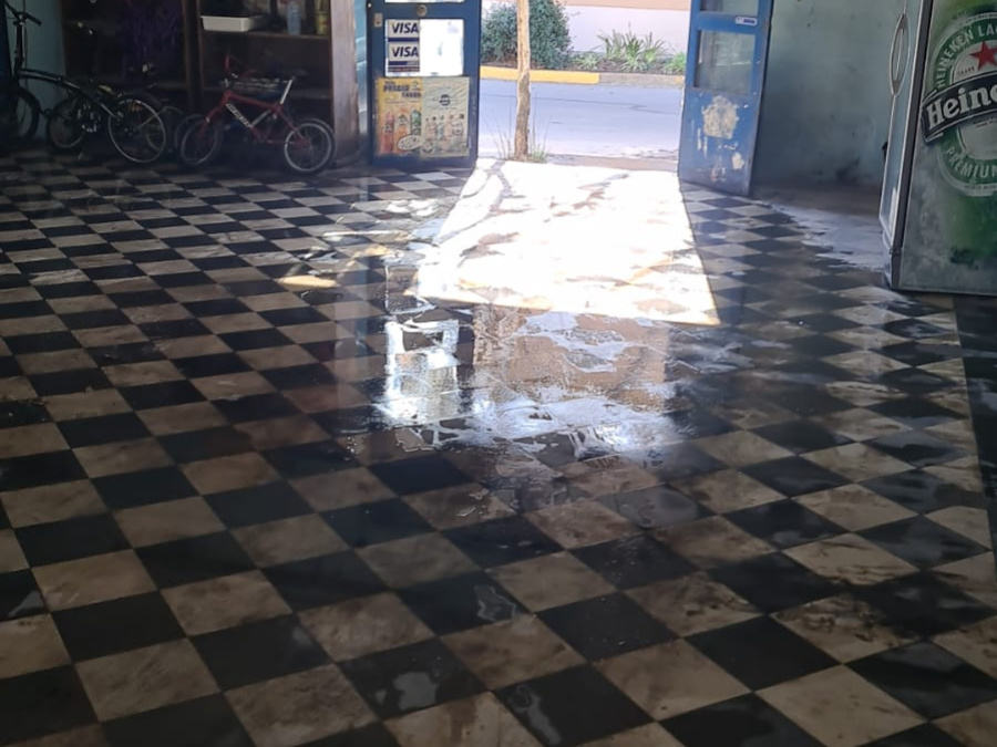 Ambrosoni 1700, ,Galpón,Alquiler,Ambrosoni 1700,1807